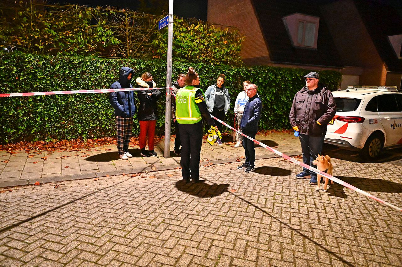 Foto: Rico Vogels/Persbureau Heitink.