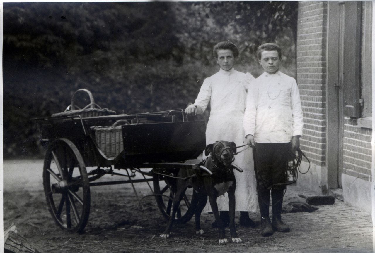 Dienstbode Truus Coenraad en Johan Cooijmans staan bij de hondenkar van slagerij Cooijmans aan de Litserstraat 21 in Den Dungen (foto: BHIC)