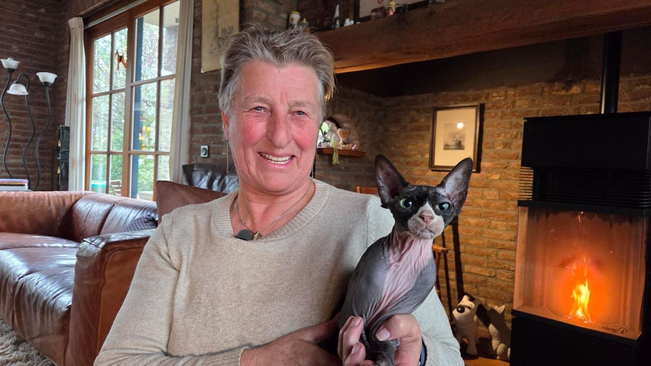 Jeanne van Kilsdonk en haar naaktkat Ocdjat Osiris (foto: Noël van Hooft / Omroep Brabant)
