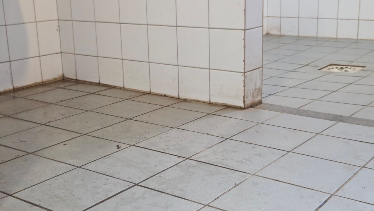 Schimmel in de kleedkamers (foto: Noël van Hooft).