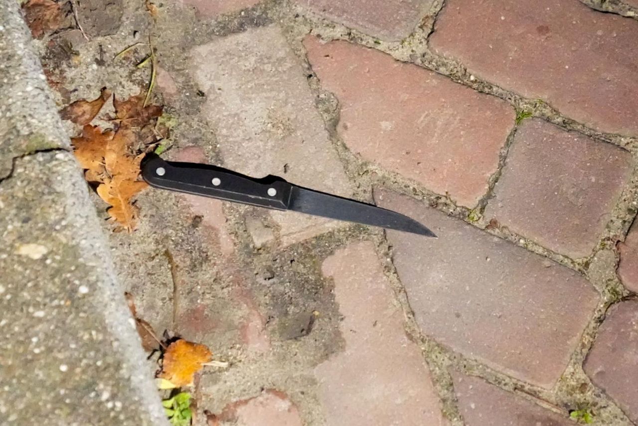 Foto Harrie Grijseels/Persbureau Heitink.