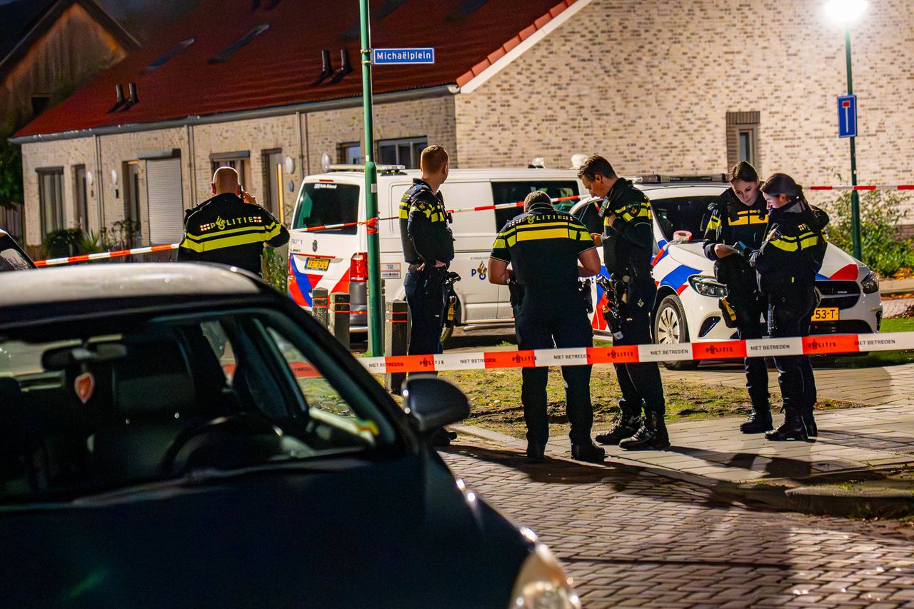 Foto Harrie Grijseels/Persbureau Heitink.