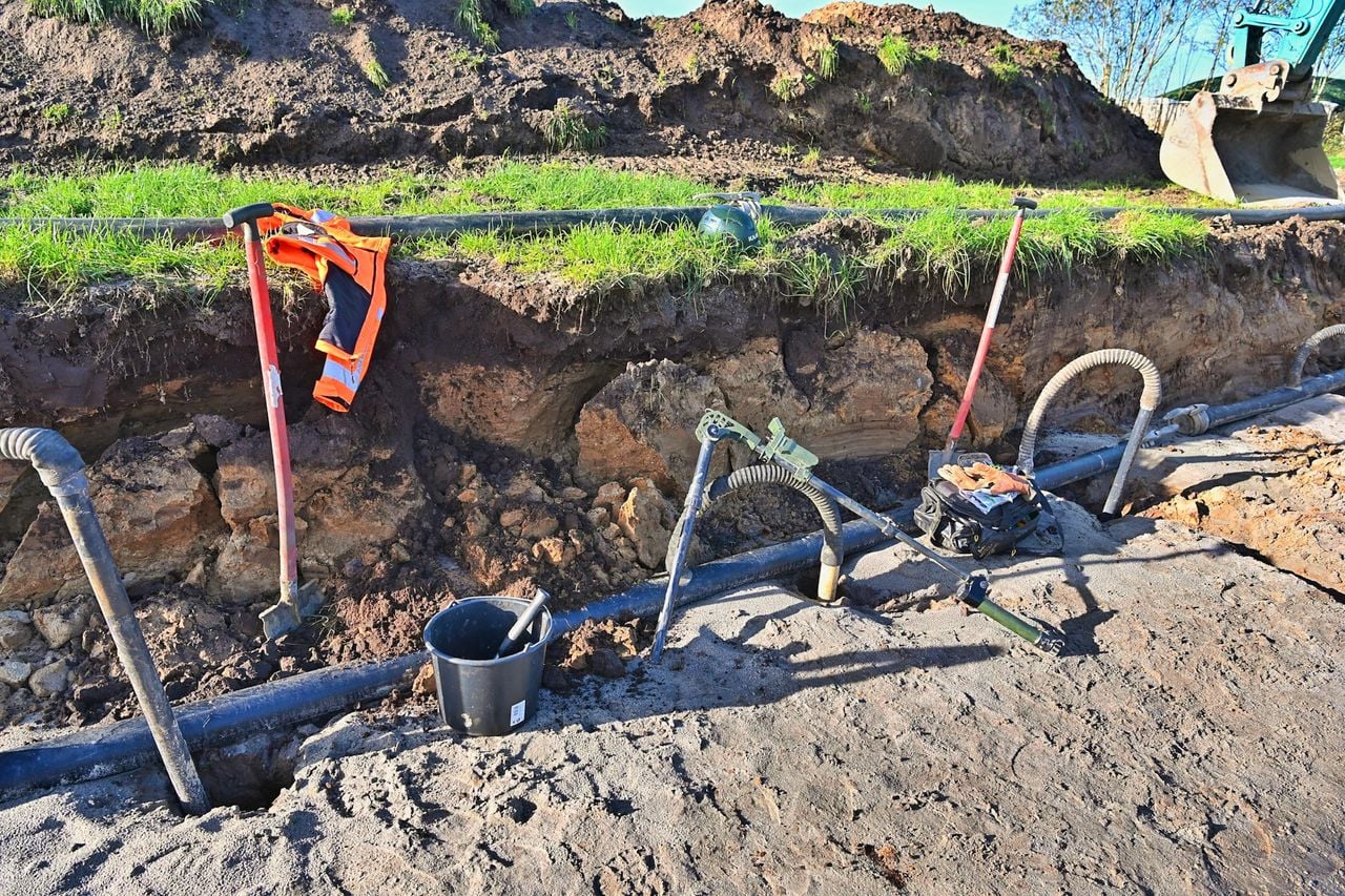 Foto: Rico Vogels/Persbureau Heitink.