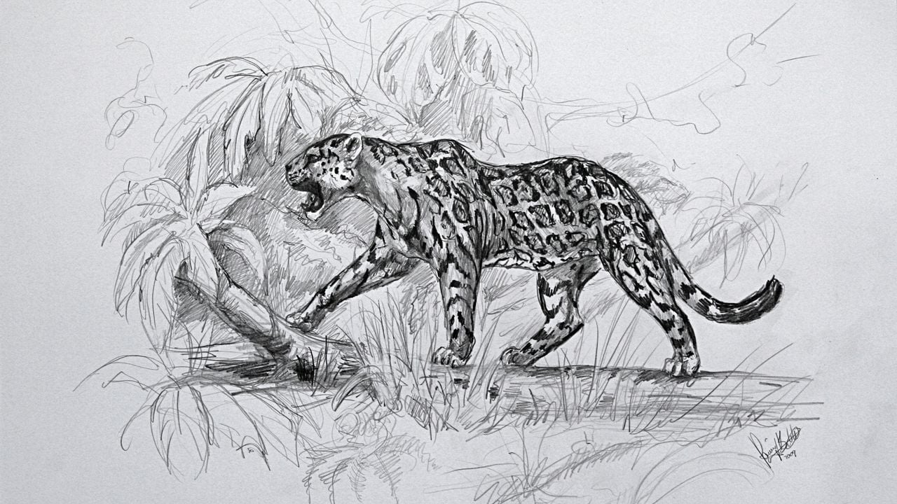Reconstructietekening van de jaguar. (Foto: Oertijdmuseum Boxtel)