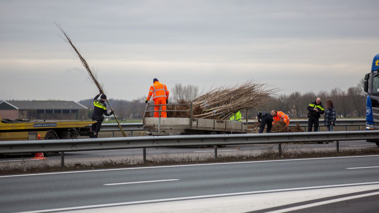 Aanhanger Met Boompjes Kantelt Bij Knooppunt De Stok A58 Weer 