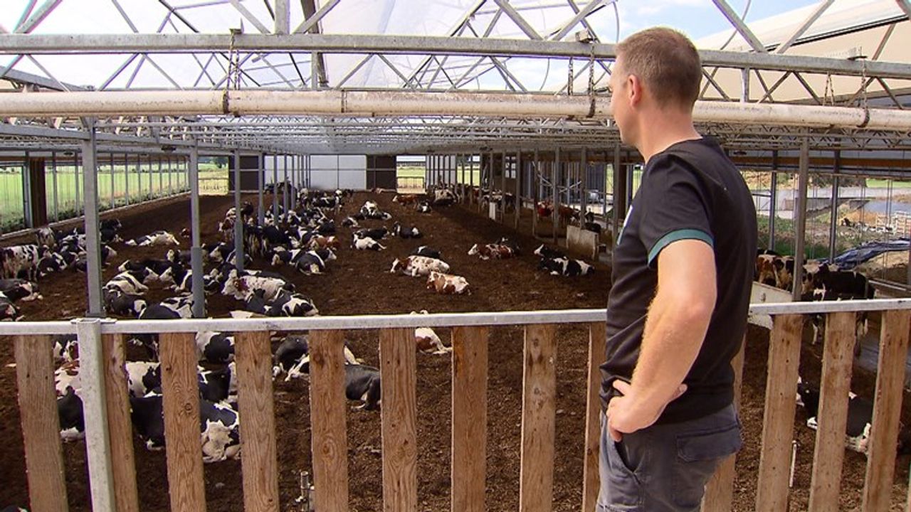 De innovatieve stal van Rik Lagendijk. (foto: Omroep Brabant)