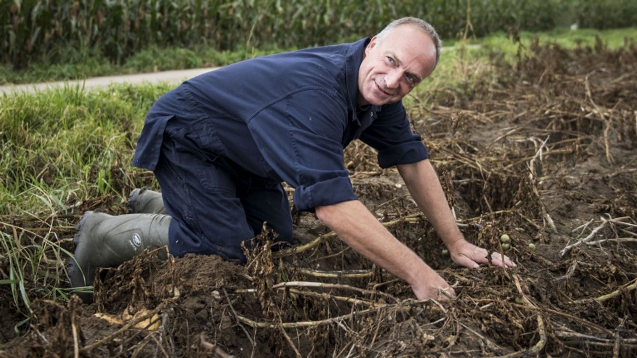 Helaas geen 'wauw-factor' voor boer Geert uit Oeffelt (Foto: KRO-NCRV)