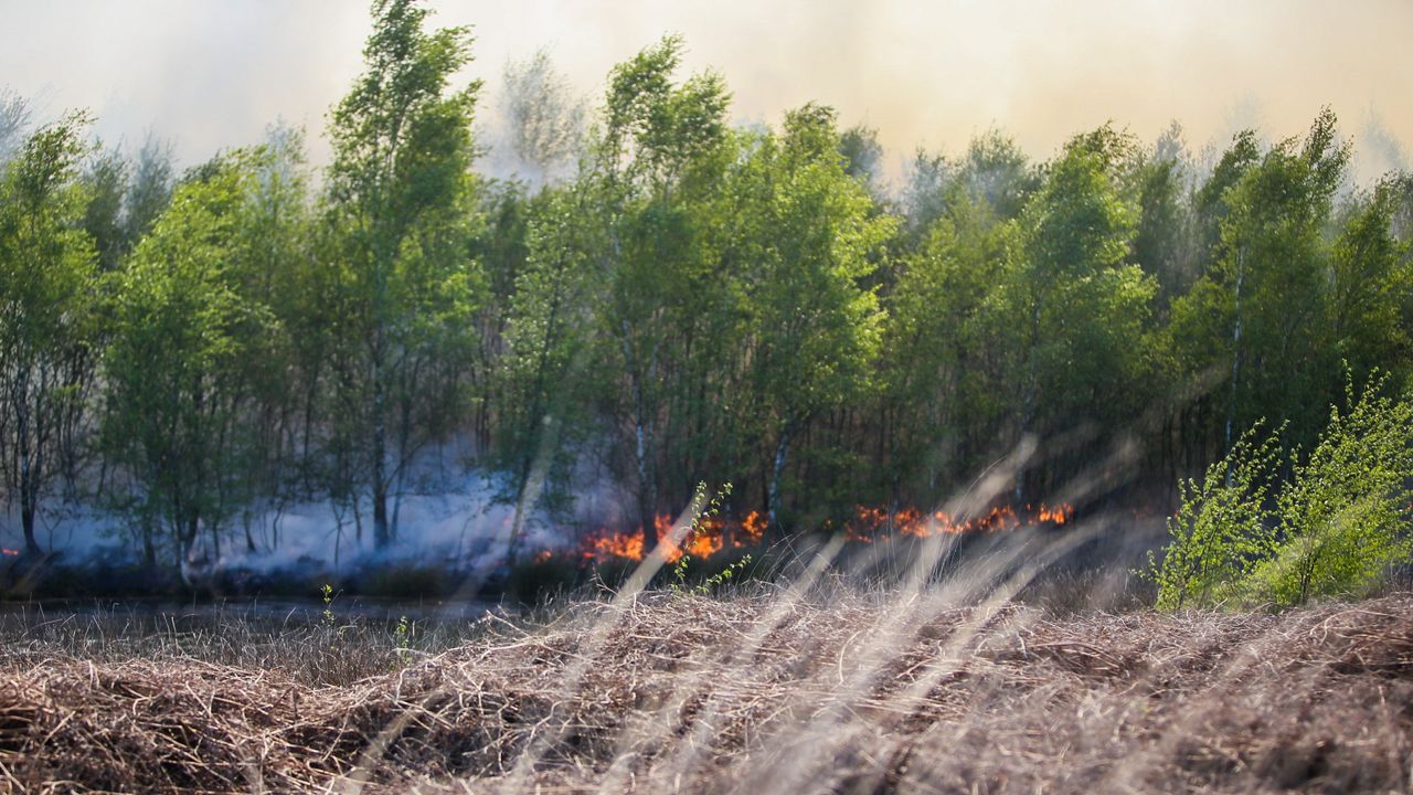Foto: Pim Verkoelen - SQ Mediavision Produkties