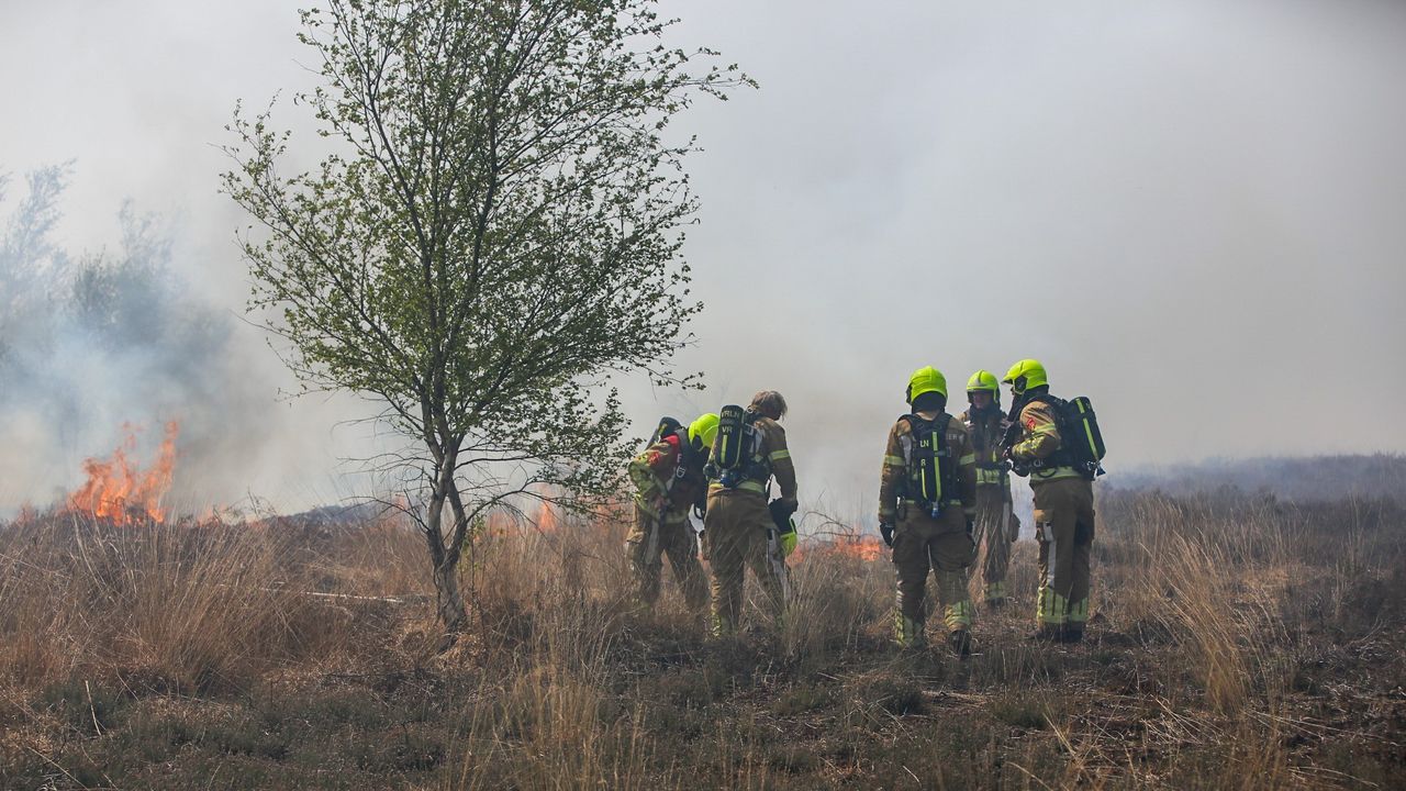 Foto: Pim Verkoelen - SQ Mediavision Produkties