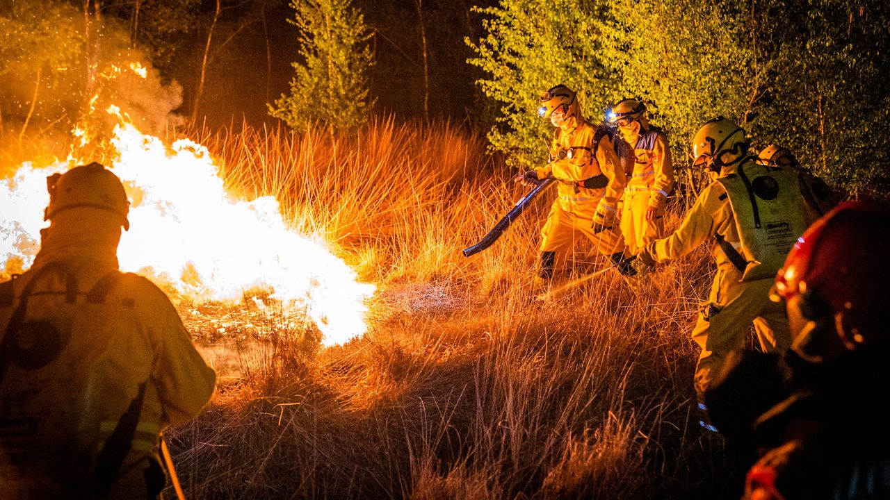 Brandweerlieden aan het werk in de Peel.