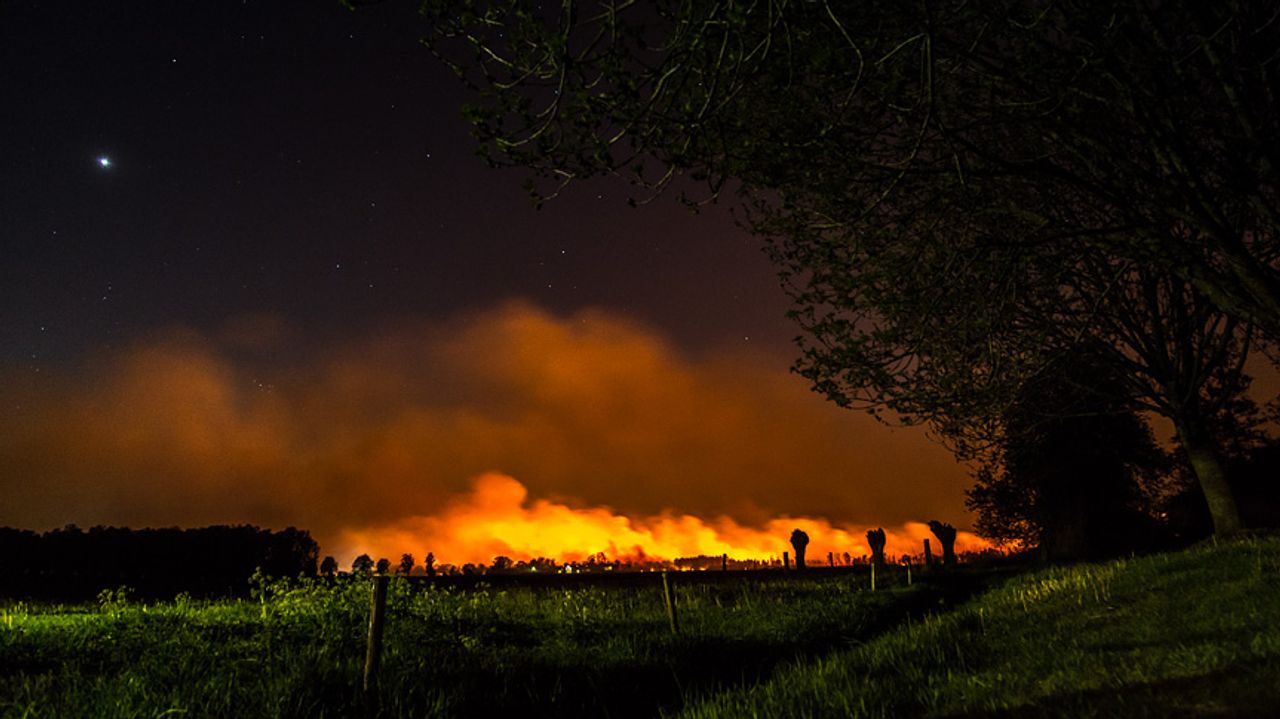 Hevige brand woedt nog altijd in Deurnese Peel (foto: Joyce van Dijk Fotografie)