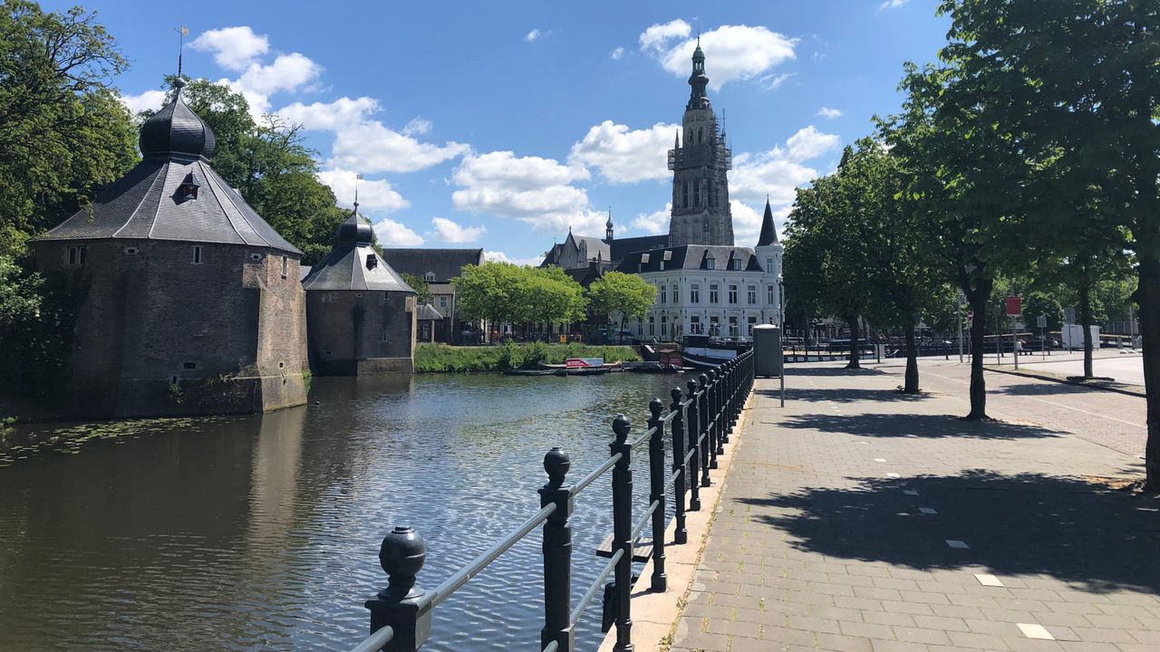 De klokken zijn alweer zichtbaar. (foto: Raymond Merkx)