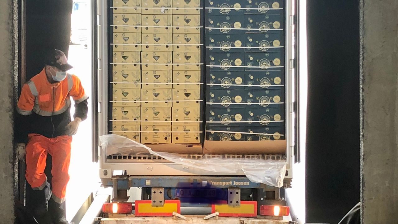 Douaneambtenaar opent een container met bananen