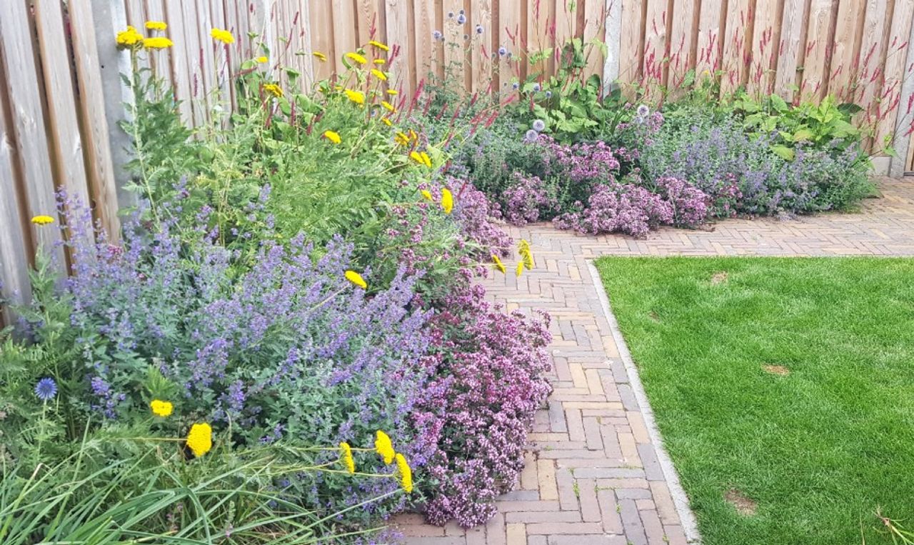 Hommelsterfte (foto: Ronald Brans).