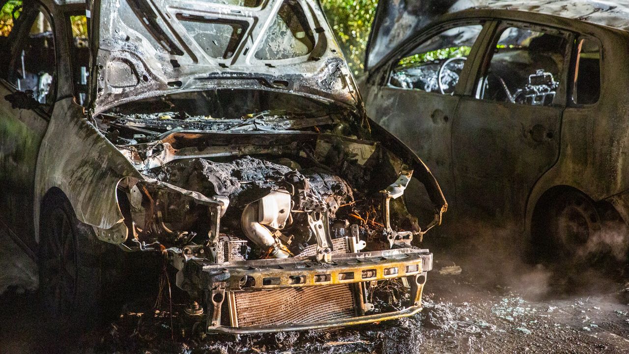 Foto: Christian Traets / SQ Vision Mediaprodukties