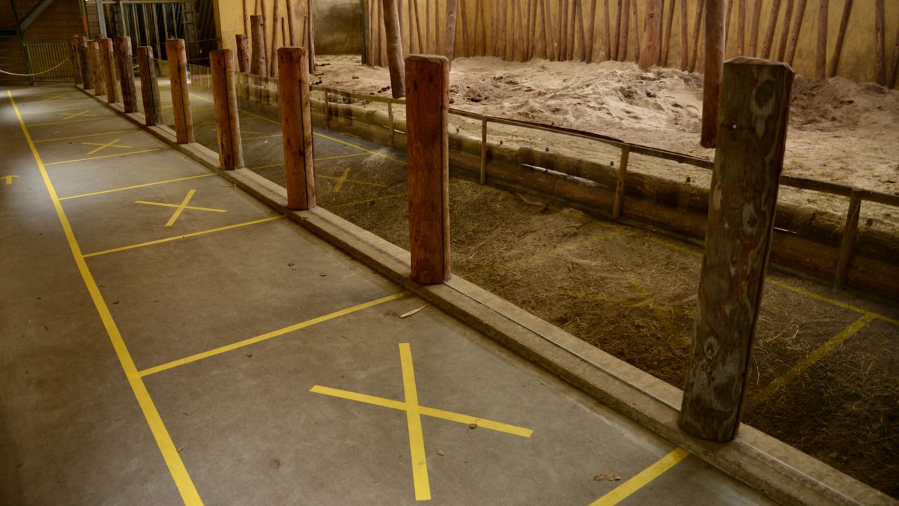 Stickers op de vloer van het olifantenverblijf.