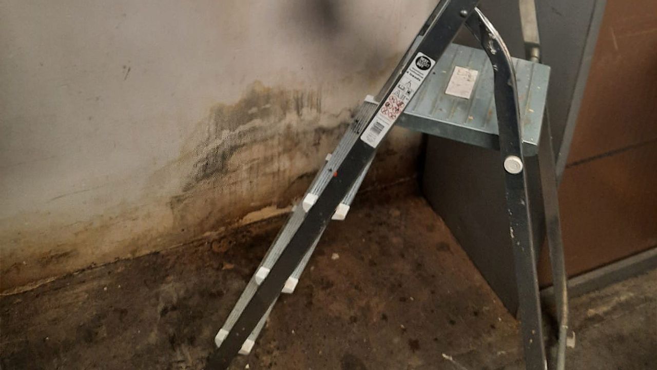 Schimmel op de muren van het huidige pand. (Foto: de Tilburgse Voedselbank)