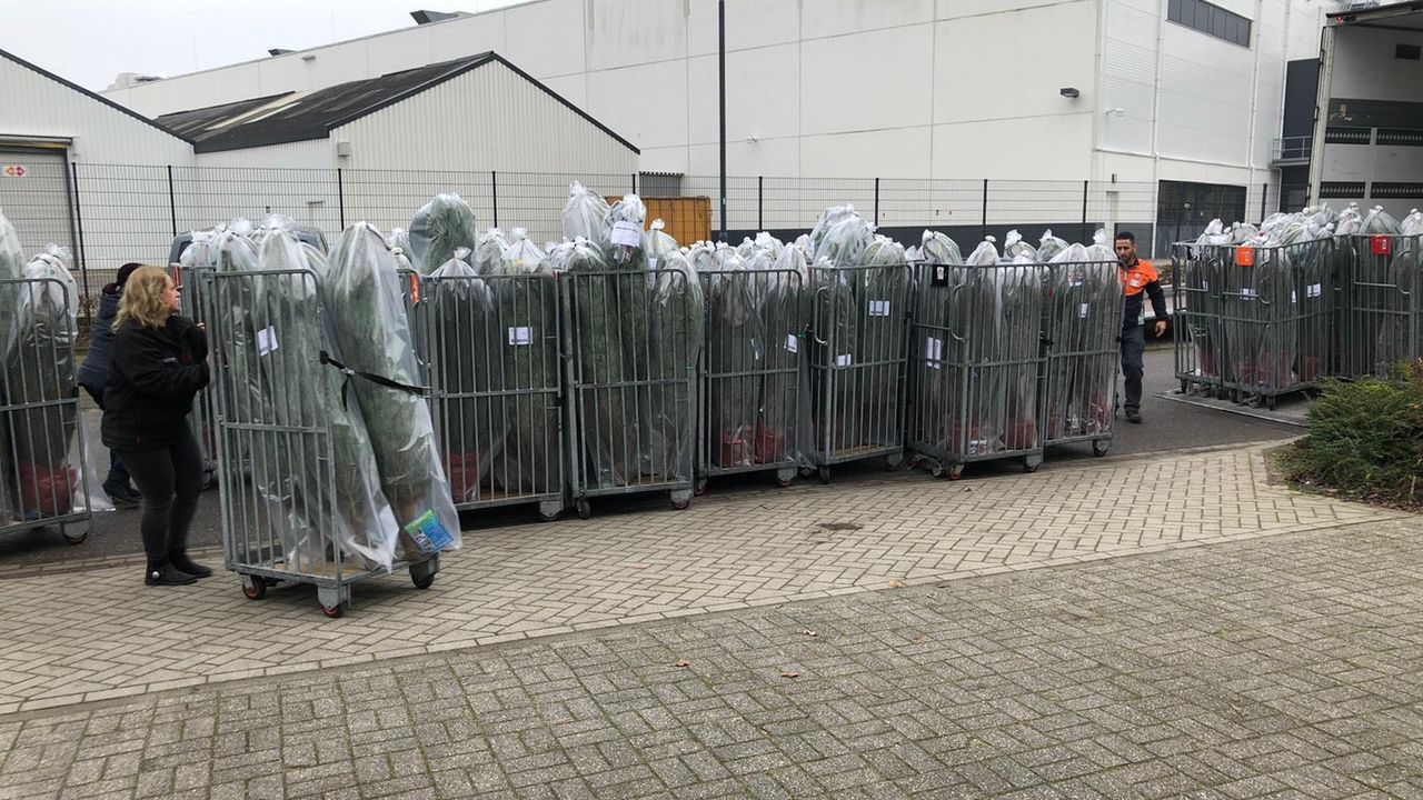 Medewerkers van Odenneboom.nl zetten de bestellingen klaar (Foto: archief O Denneboom)