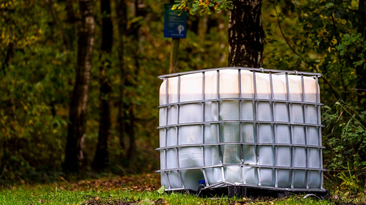 Foto: Dave Hendriks/SQ Vision