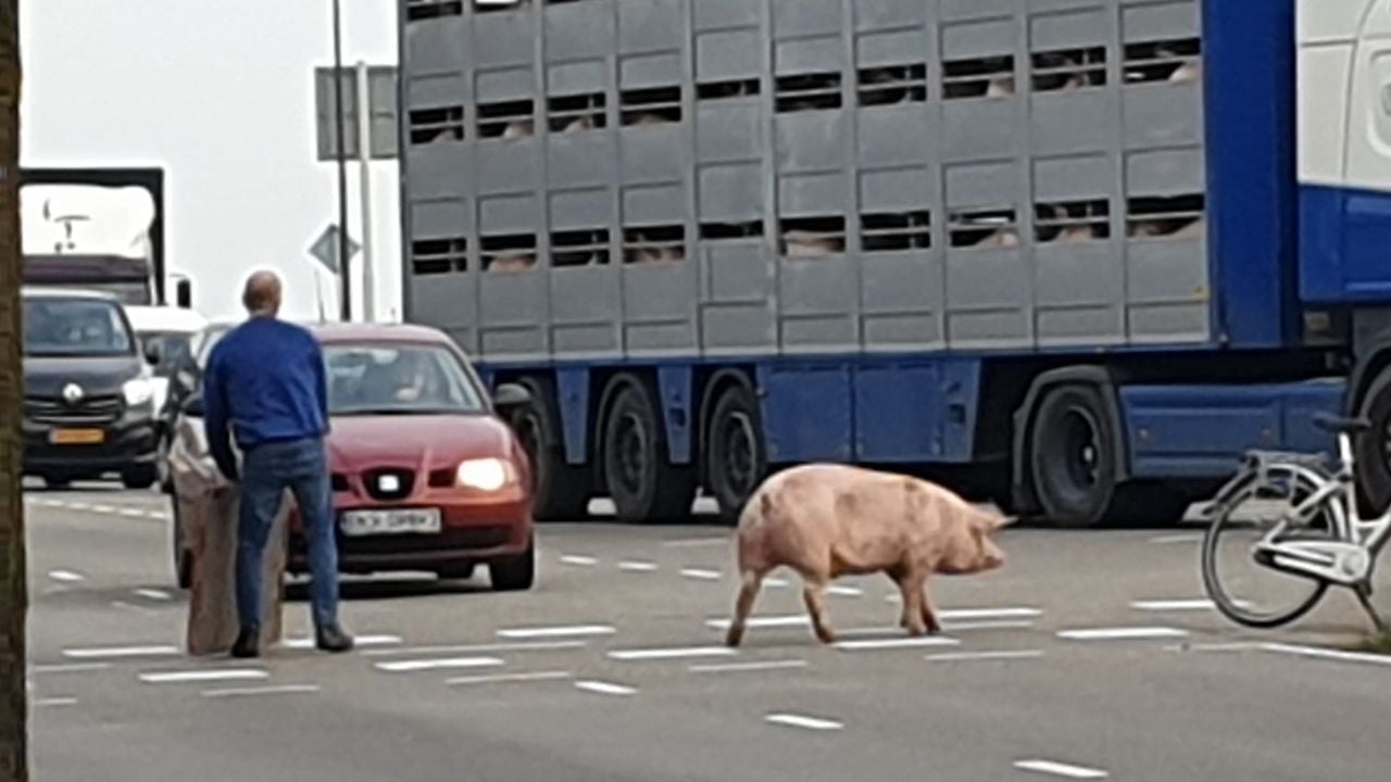 Foto: Marian van de Griendt