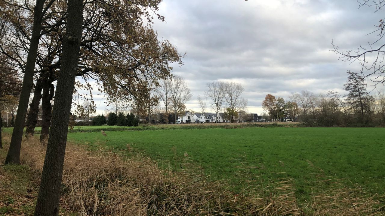 De groene rand van de Stiphoutse wijk (Foto: Alice van der Plas)