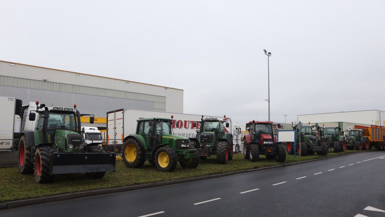 Foto: Sander van Gils/SQ Vision