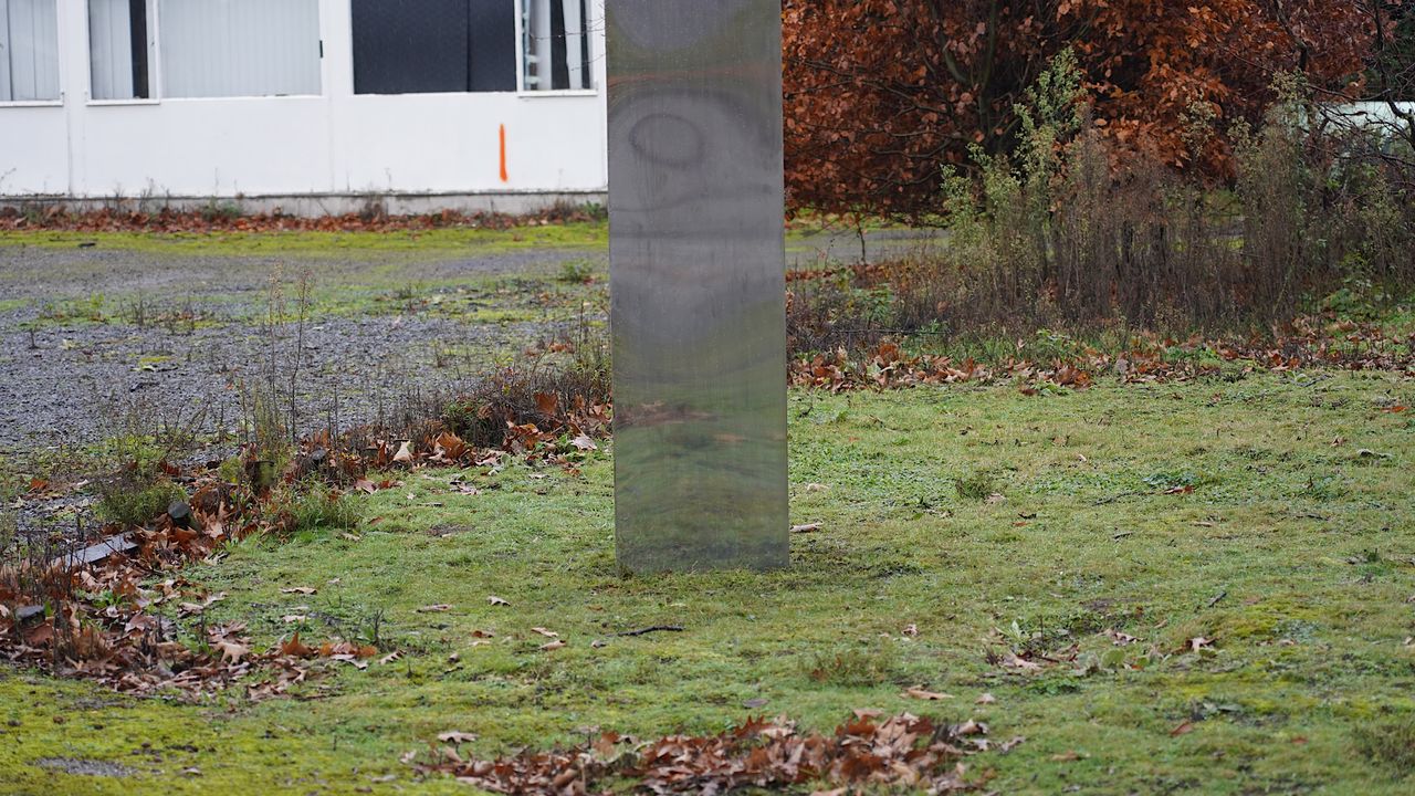 Foto: Jeroen Stuve/SQ Vision