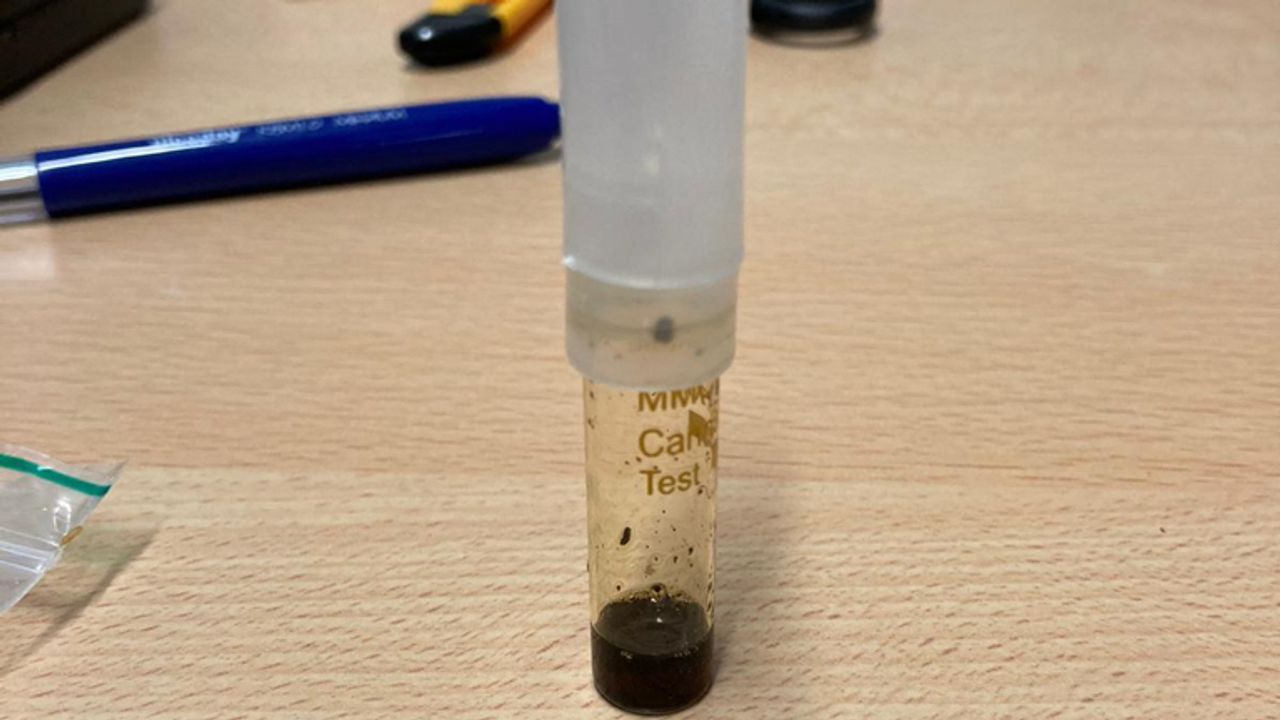 De appel was gevuld met cannabis (foto: PI Vught).