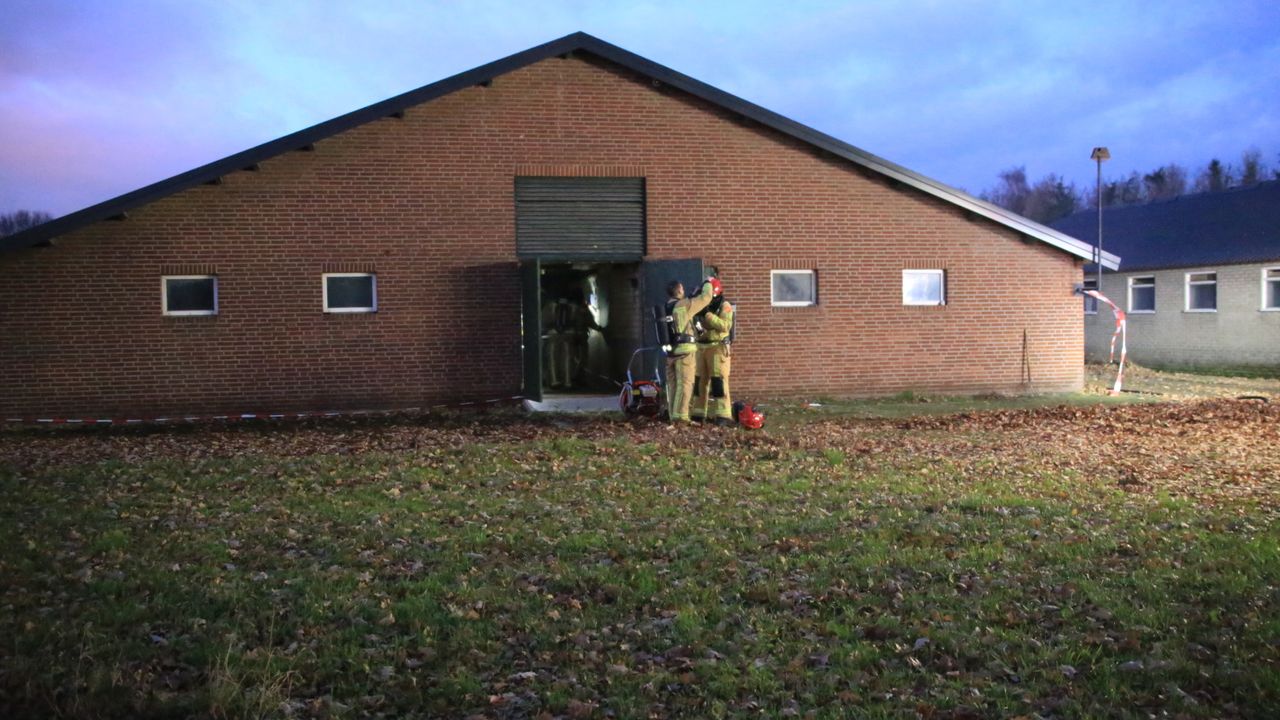 Foto: Harrie Grijseels/SQ  Vision