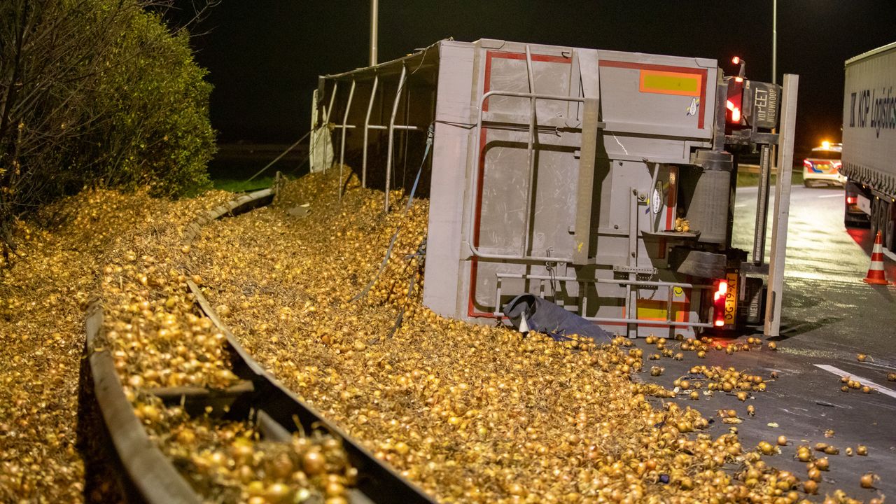 De uienoogst in de vangrail (foto: Christian Traets/SQ Vision Mediaprodukties).