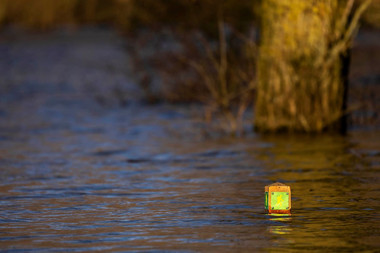 (Foto: Gabor Heeres / SQ Vision Mediaprodukties).