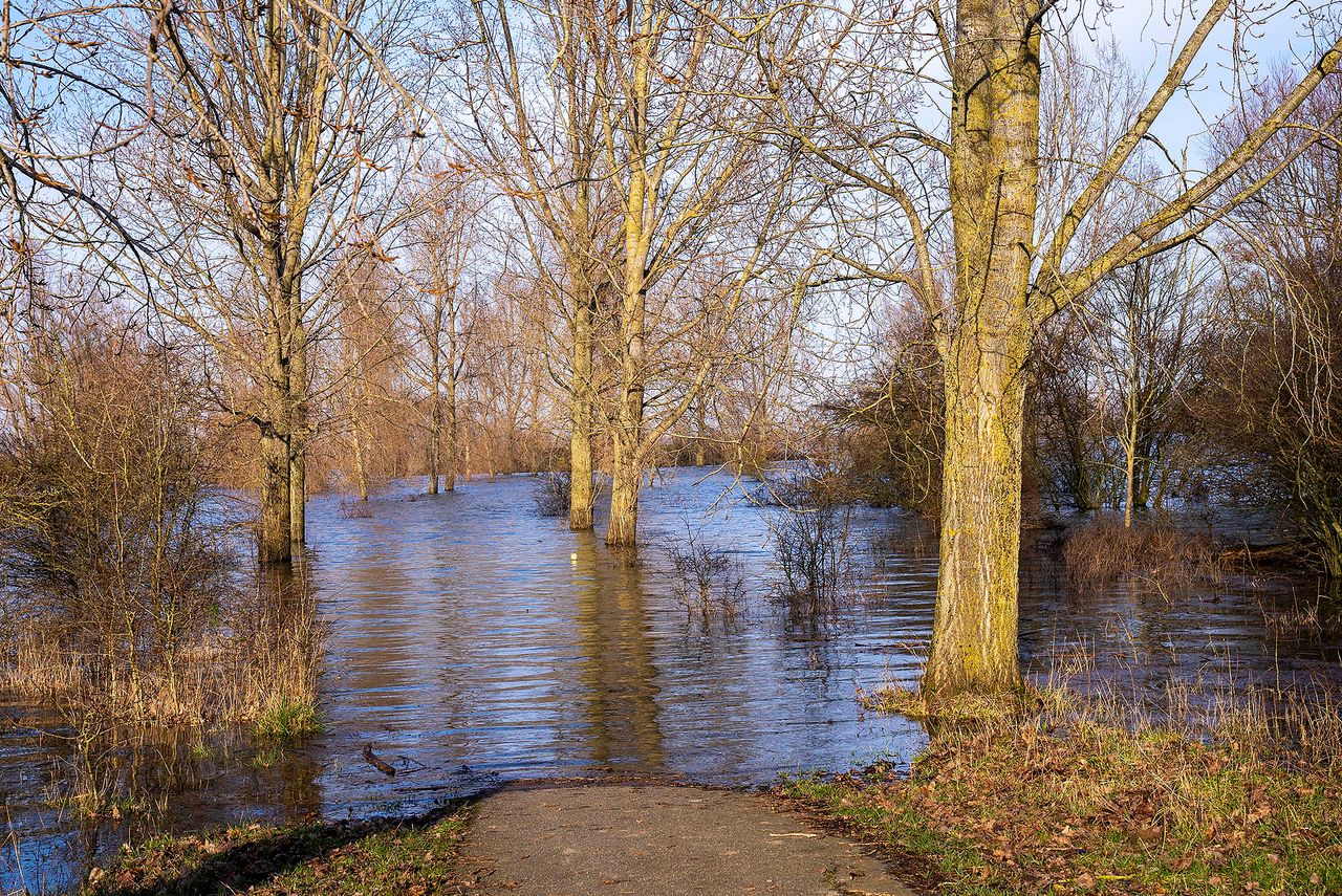 (Foto: Gabor Heeres / SQ Vision Mediaprodukties).