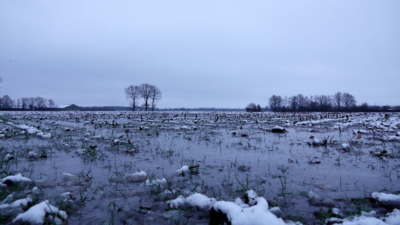 Het was mooi wakker worden in het zuidoosten van Brabant (foto: Ben Saanen).