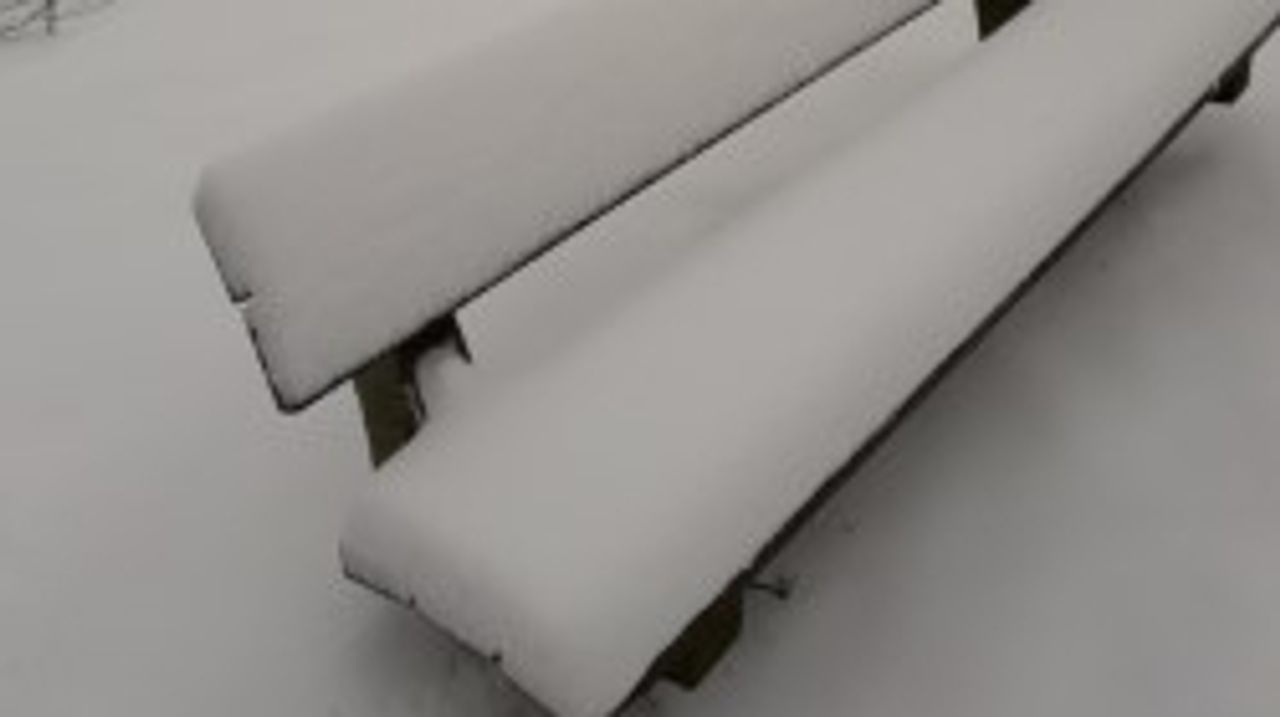 Jij mag gaan zitten(foto:Wil van Gool)