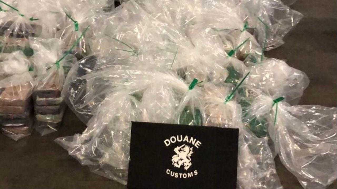 Een deel van de partij drugs (foto: belastingdienst/douane) 