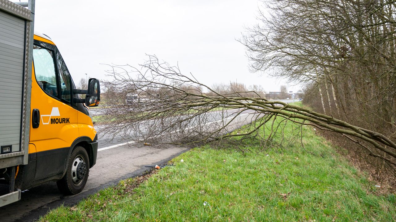 Omgevallen boom op de afrit van de A59 bij Made (foto: Marcel van Dorst / SQ Vision Mediaprodukties).