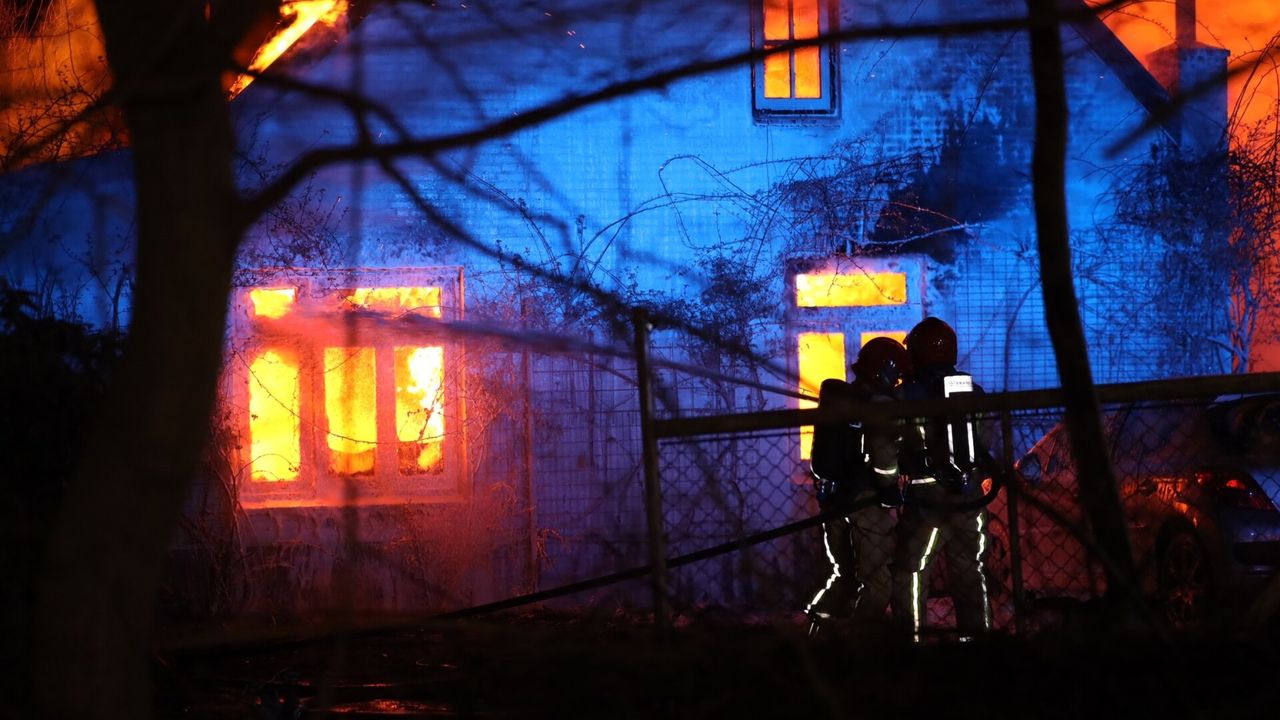 (Foto: Sander van Gils/SQ Vision).