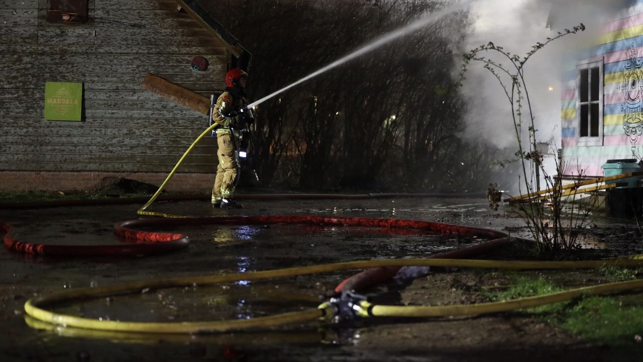 (Foto: Sander van Gils/SQ Vision).