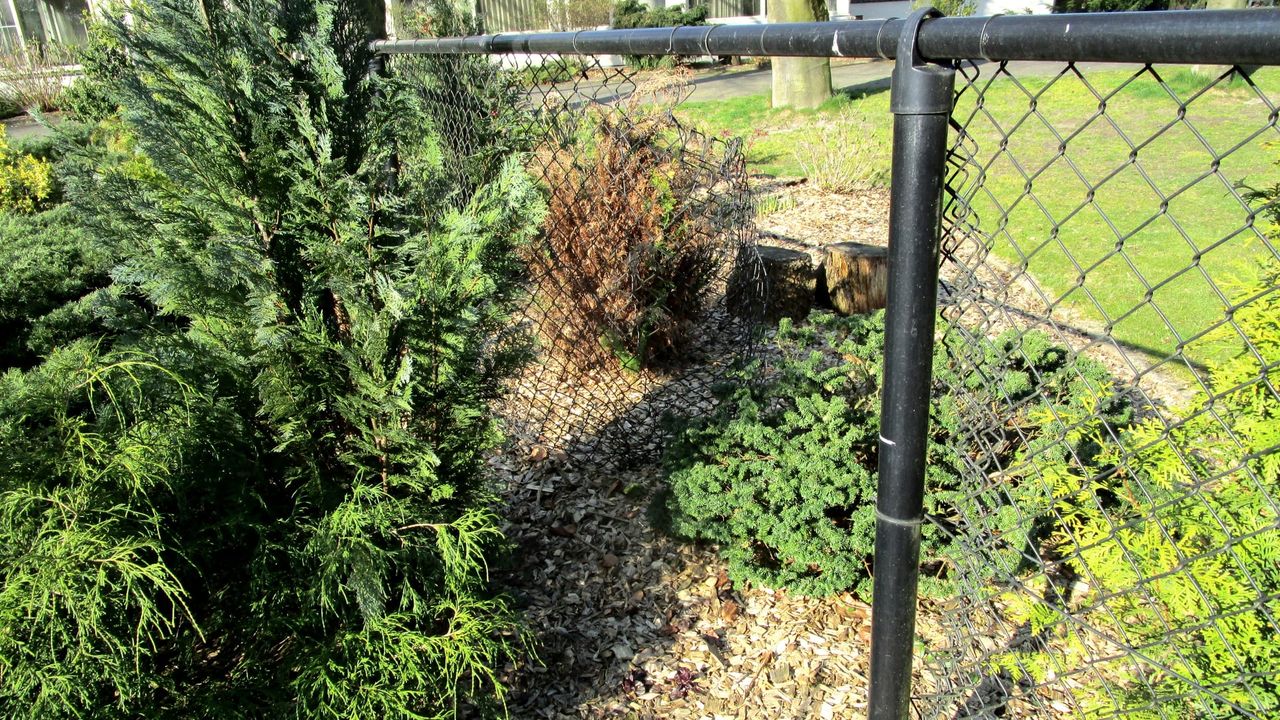 Schade aan het hek (foto: Adriënne Vester).