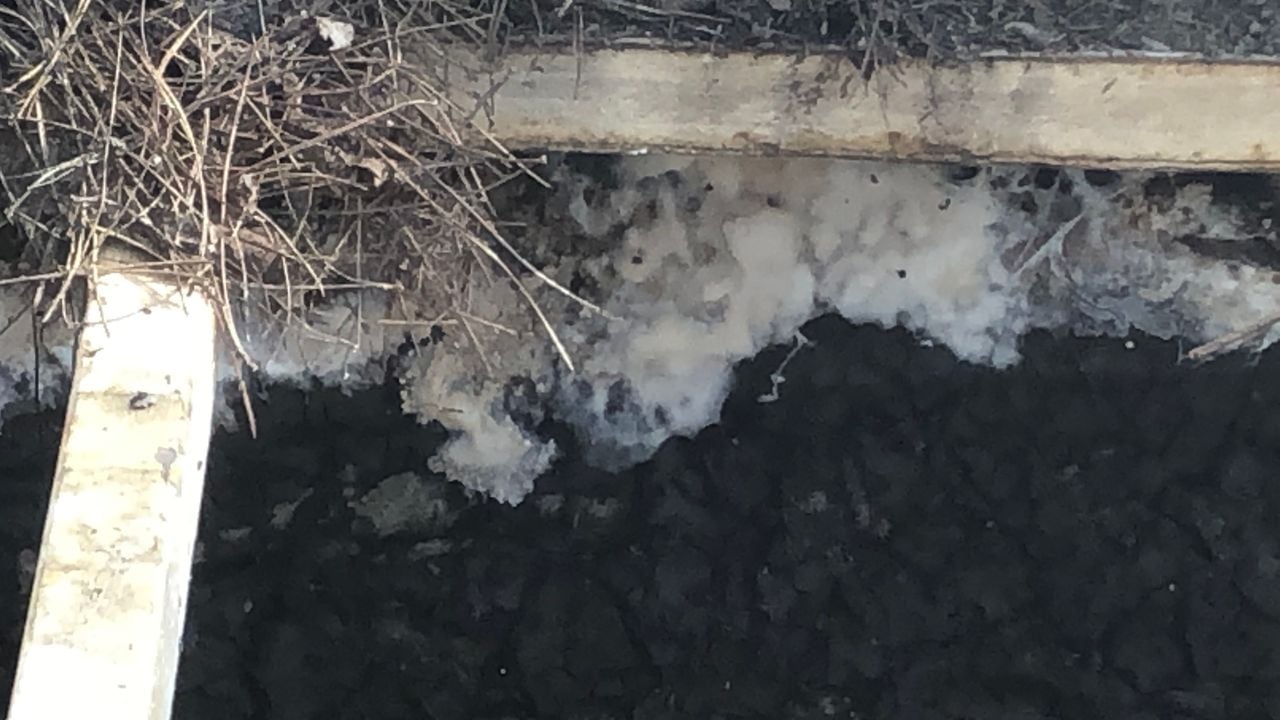 Witte chemisch drab aan de rand van de put (foto: Willem-Jan Joachems) 