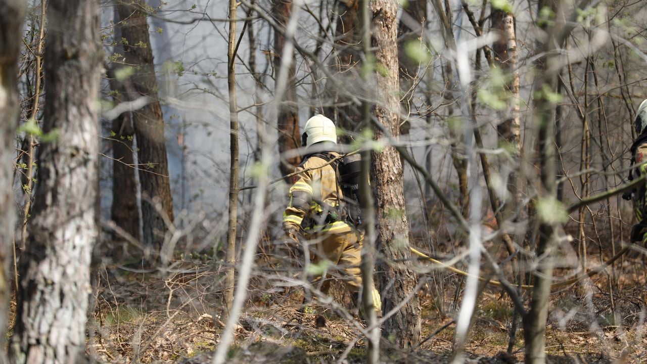 (Christian Traets/SQ Vision Mediaprodukties).