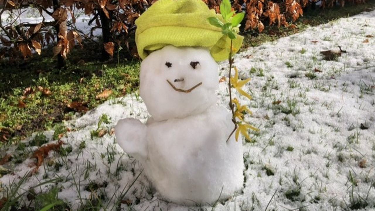 Lente-sneeuwpop in Veldhoven (foto: Rian van Rooij). 