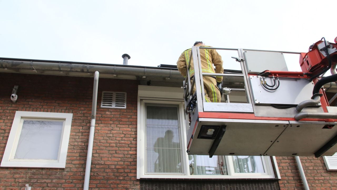 Foto: Harrie Grijseels/SQ Vision