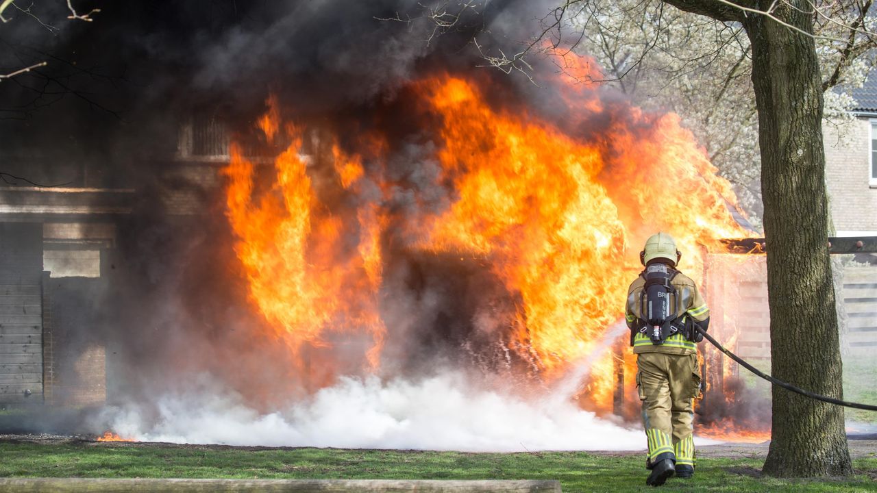 Foto: Alexander Vingerhoeds.