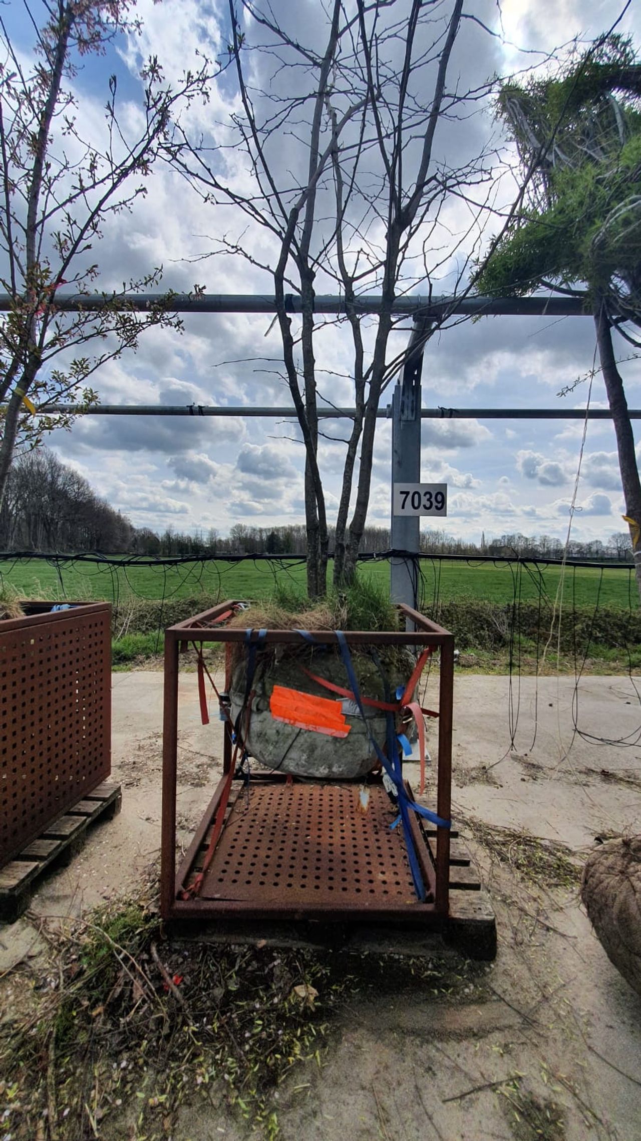 De eerste versie van de boomveer .