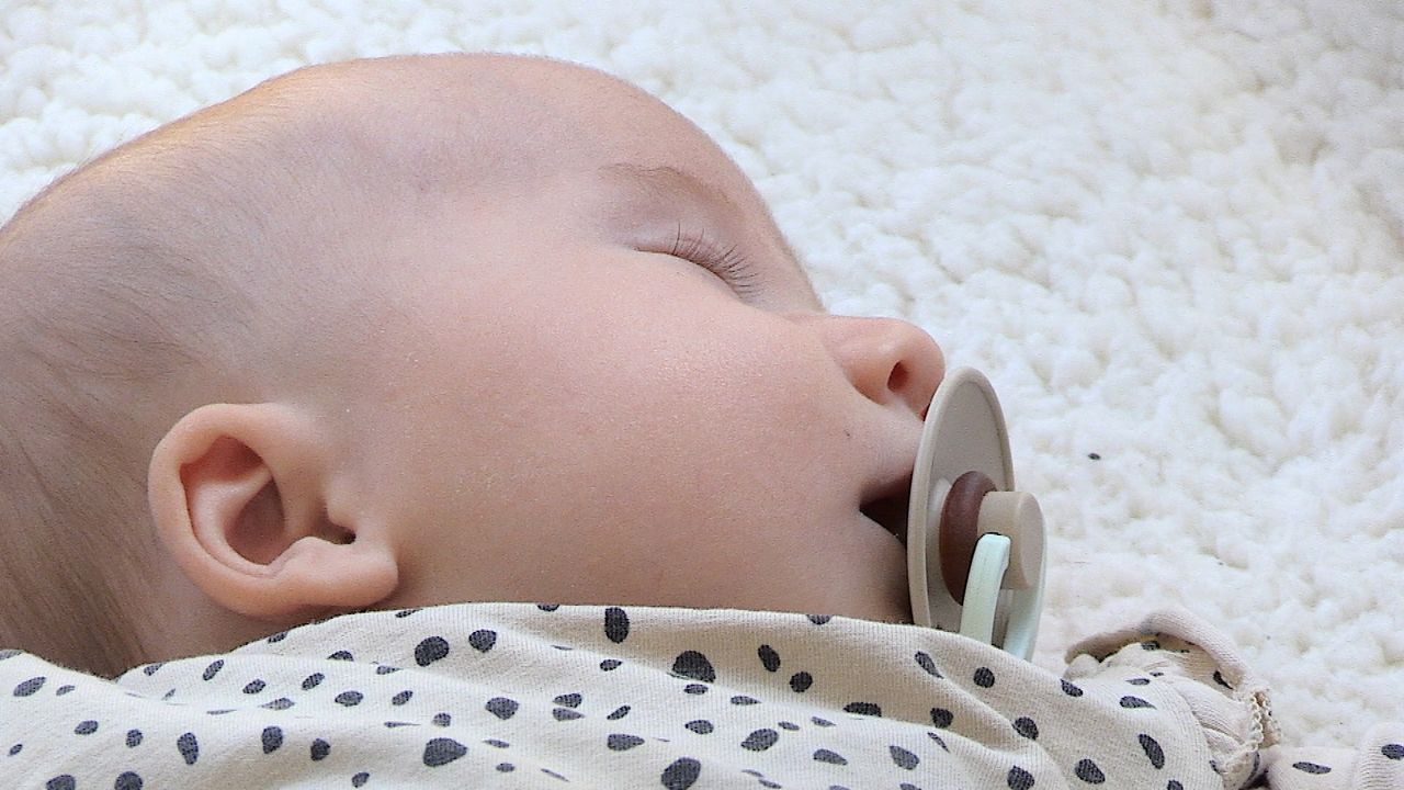 Charlie. (foto: Tom van den Oetelaar)