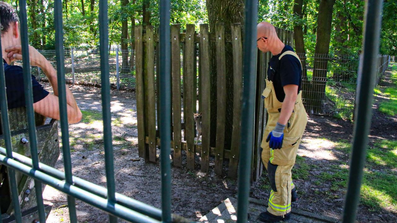 (foto: Harrie Grijseels/SQ Vision Mediaprodukties)