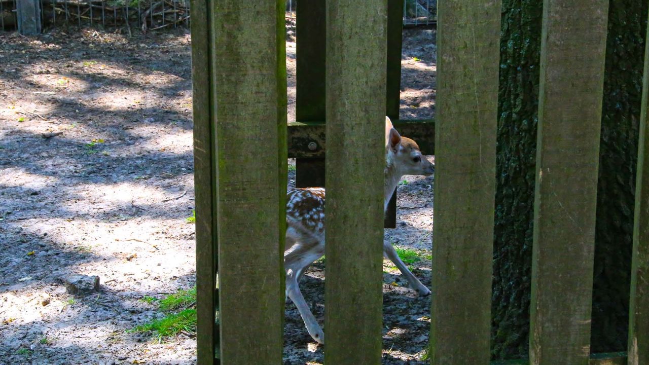 (foto: Harrie Grijseels/SQ Vision Mediaprodukties)