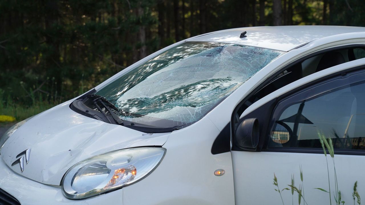 Foto: WdG/SQ Vision Mediaprodukties