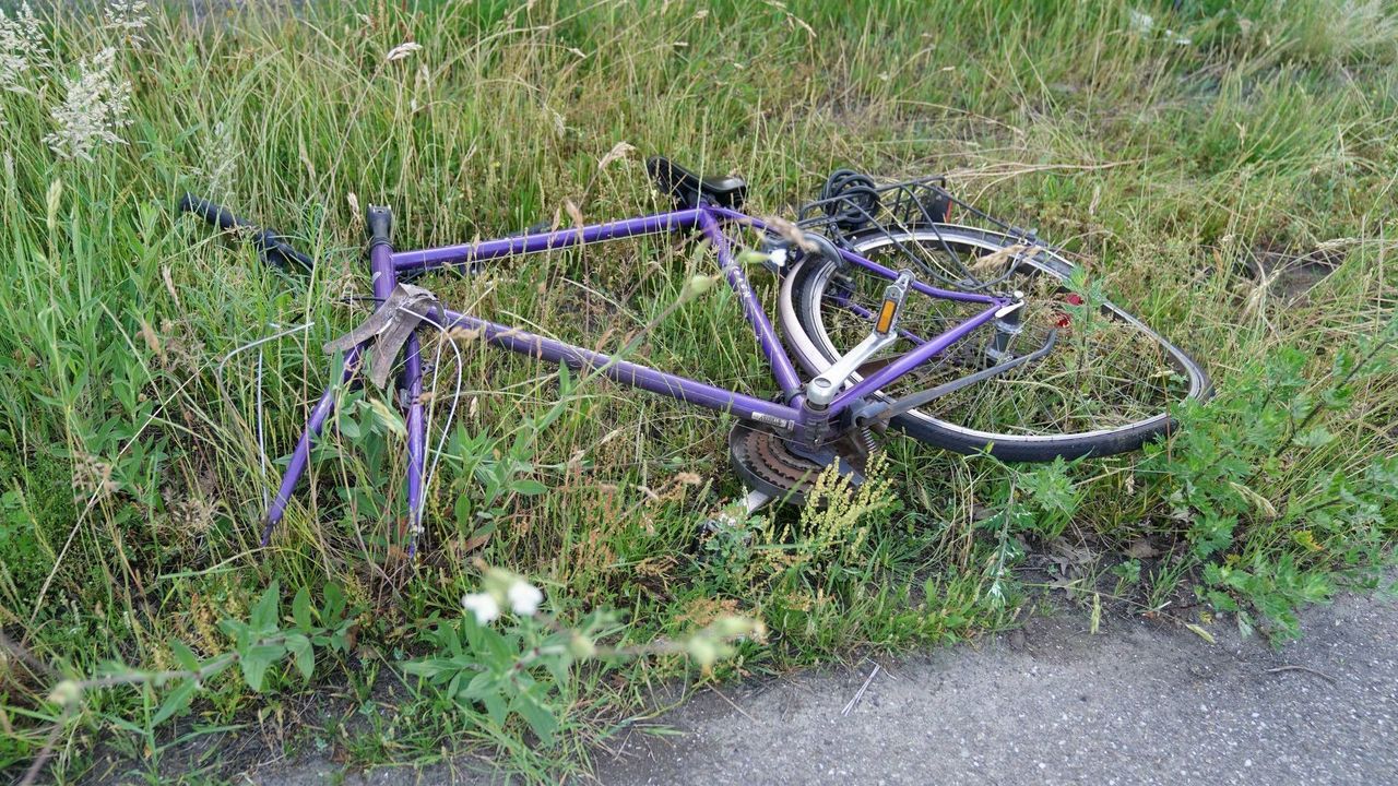 Foto: WdG/SQ Vision Mediaprodukties